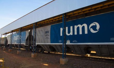 Rumo registra recordes históricos no transporte de soja por ferrovia