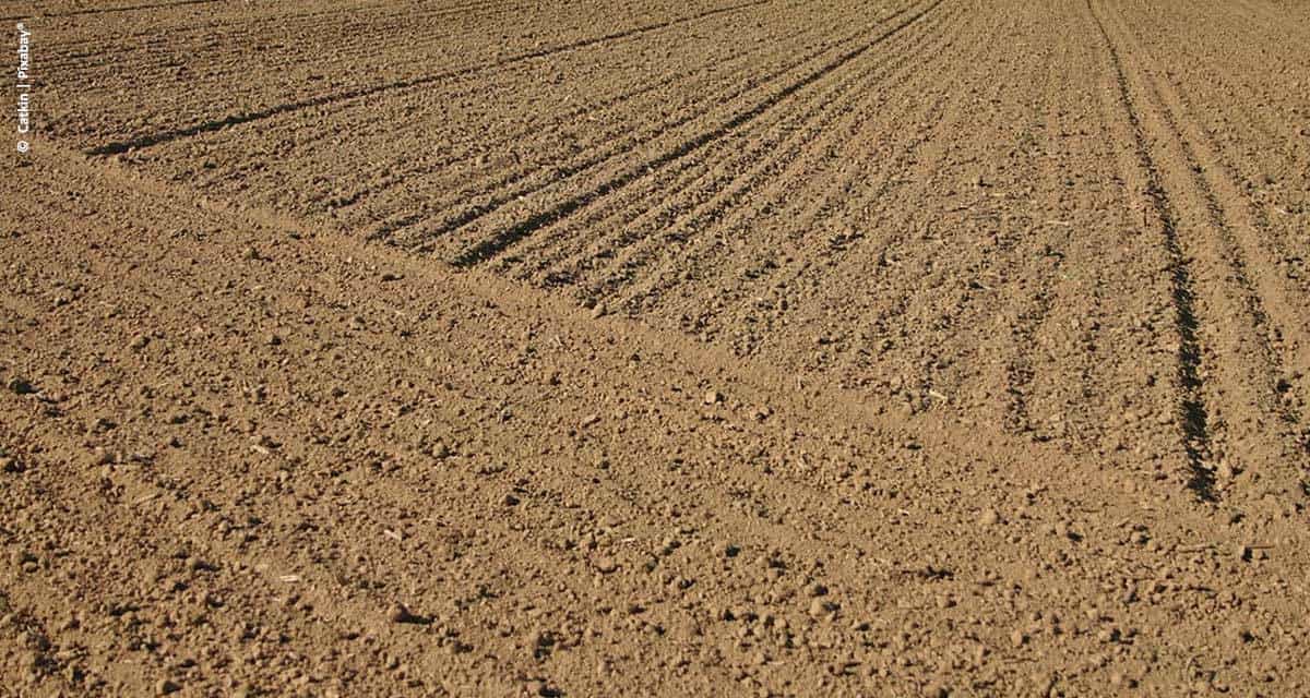 Programas de fidelidade chegam ao agro com força total 