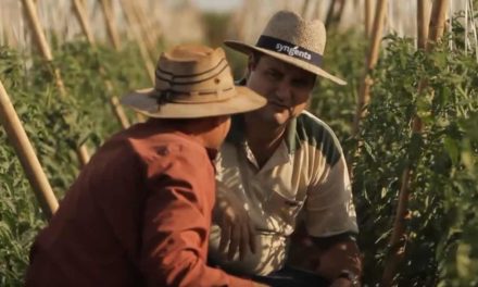 Syngenta busca uma visão compartilhada para a agricultura sustentável