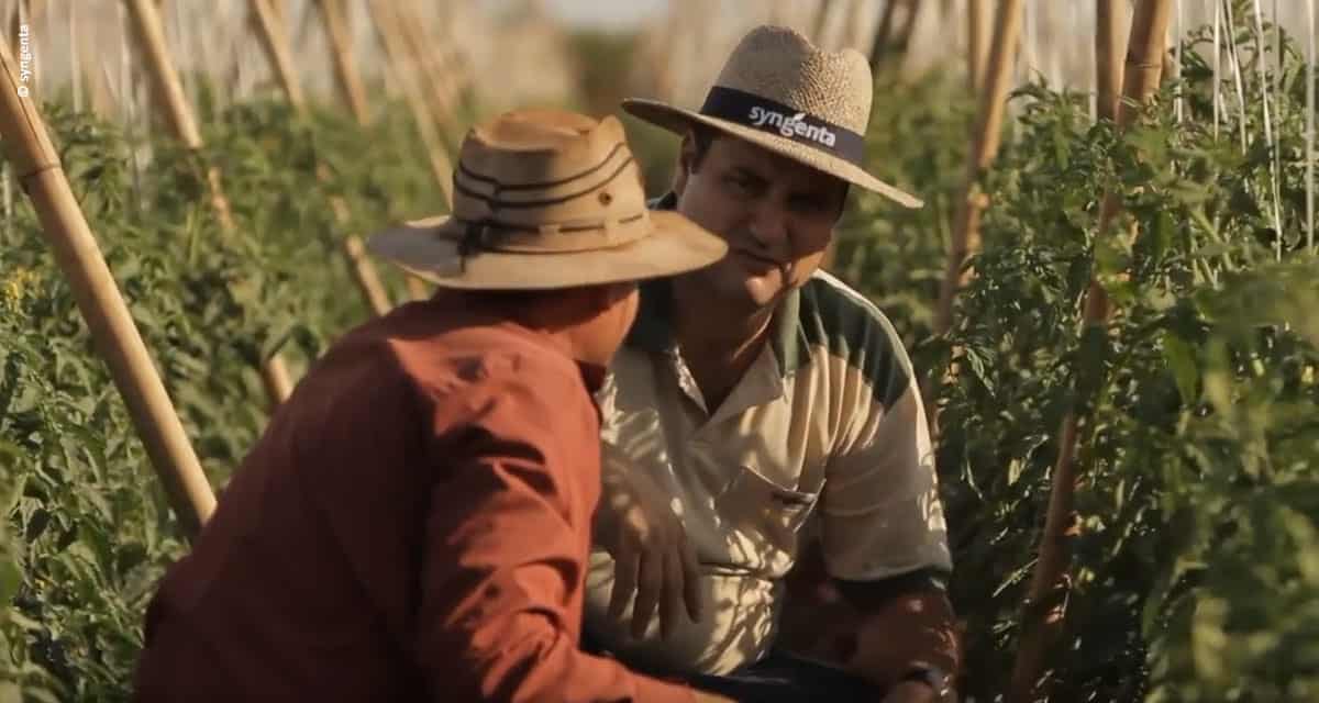 Syngenta busca uma visão compartilhada para a agricultura sustentável