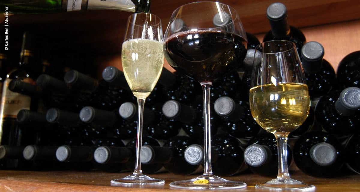 Premiação da Grande Prova Vinhos do Brasil ocorrerá durante a Wine South America