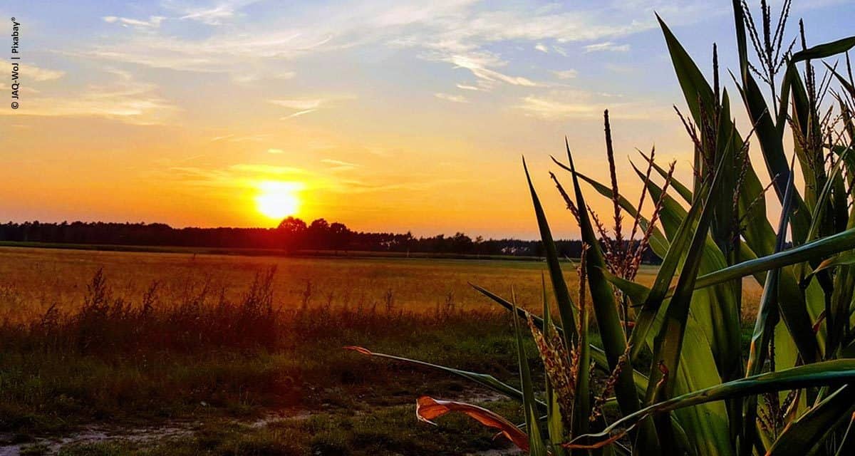 Nosso futuro é agro