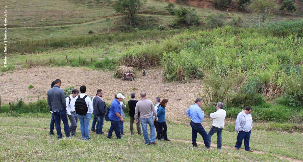 Projeto Balde Cheio investe em sustentabilidade