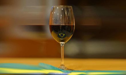 Vitivinicultura brasileira é destaque na Wine South America
