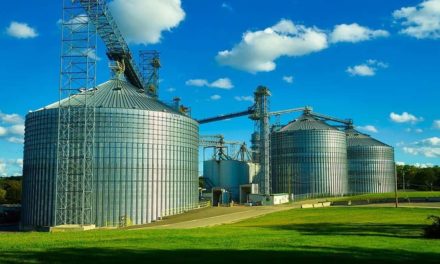Encontro aborda benefícios da indústria 4.0 na armazenagem de grãos