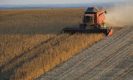 Fertilizante biotecnológico aumenta produtividade e gera receita adicional para a soja