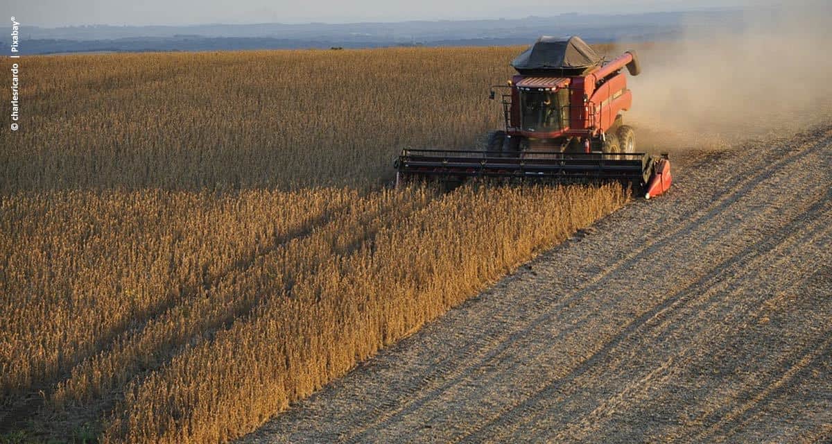 Fertilizante biotecnológico aumenta produtividade e gera receita adicional para a soja