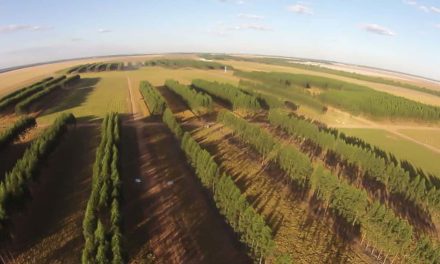 Agricultura brasileira e redução dos gases de efeito estufa