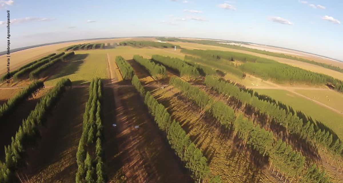 Agricultura brasileira e redução dos gases de efeito estufa