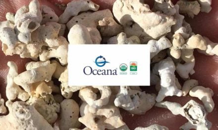 Oceana Minerals obtém certificação internacional que reforça a alta qualidade de seus produtos