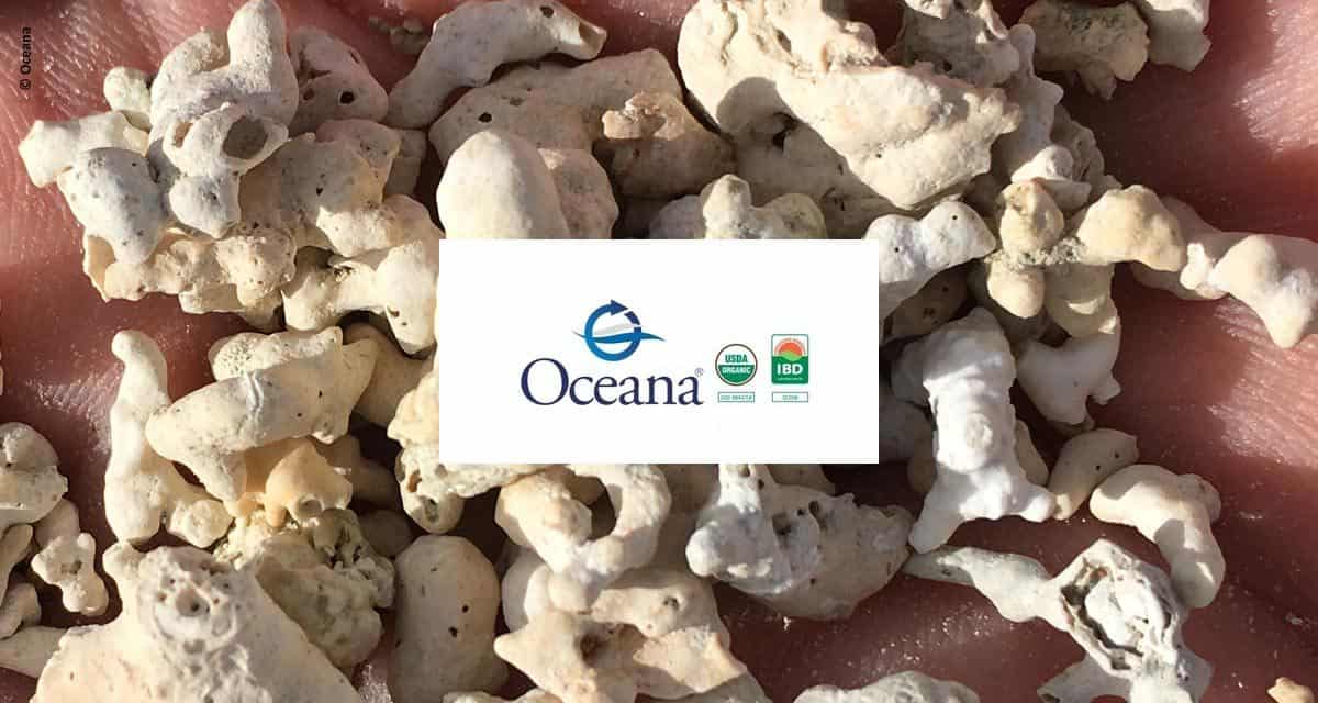 Oceana Minerals obtém certificação internacional que reforça a alta qualidade de seus produtos