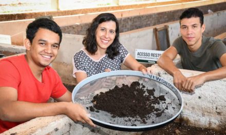 Minhocas unem produção animal e sustentabilidade