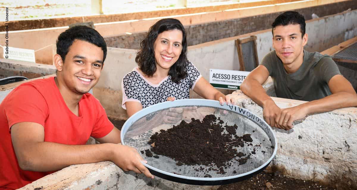 Minhocas unem produção animal e sustentabilidade