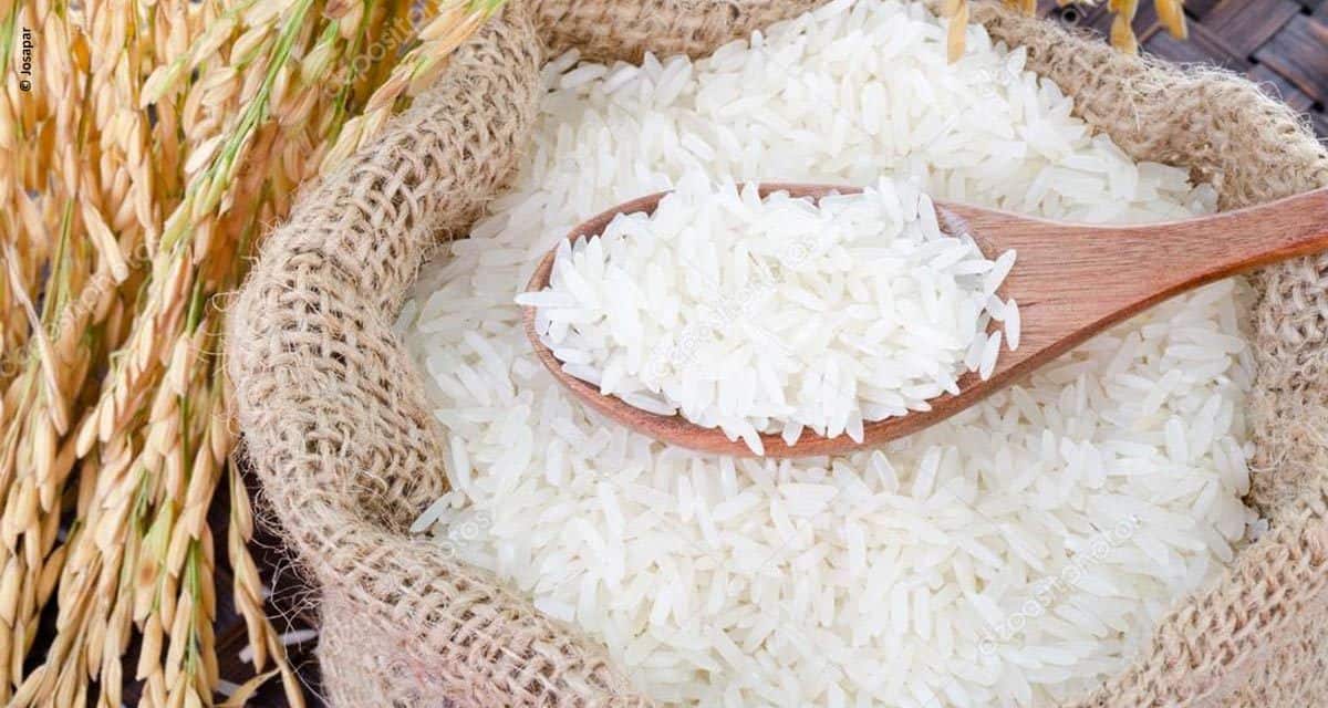 Josapar desenvolve primeiro e-commerce de arroz do Brasil