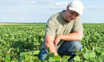 Soluções para os desafios enfrentados pelo jovem agricultor