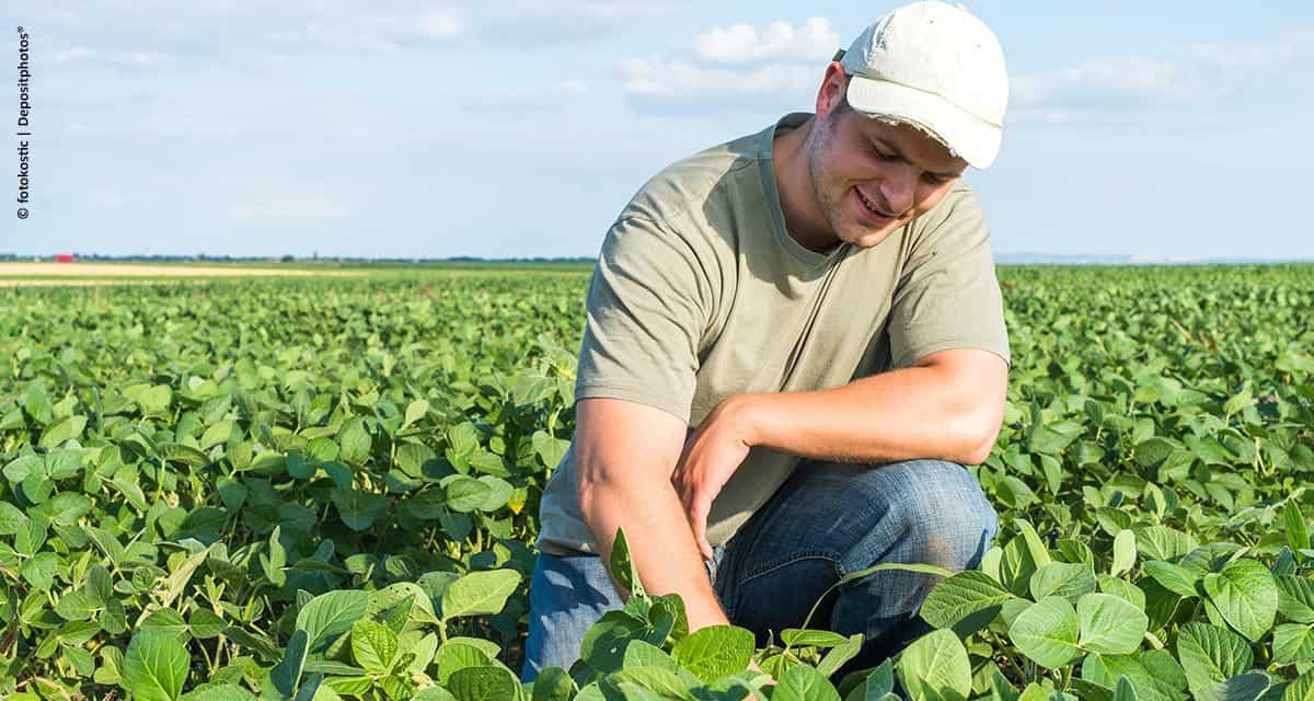 Soluções para os desafios enfrentados pelo jovem agricultor