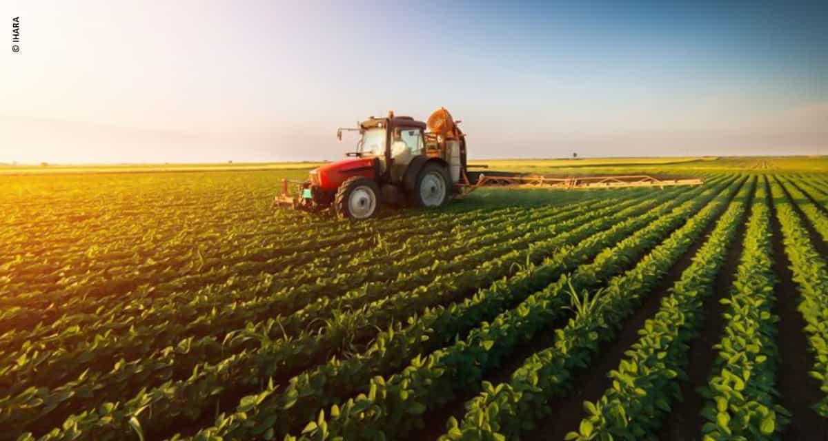 IHARA apresenta soluções para controle da ferrugem asiática e de ervas daninhas no Dia de Campo C.Vale em Palotina (PR)