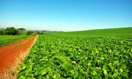 Novas tecnologias e conhecimento de técnicas de manejo ajudam a aumentar produtividade do campo