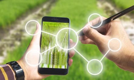 Vivo, Raízen e Ericsson anunciam startups selecionadas para impulsionar a transformação digital do agronegócio