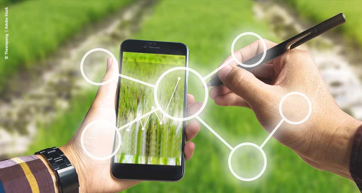 Vivo, Raízen e Ericsson anunciam startups selecionadas para impulsionar a transformação digital do agronegócio