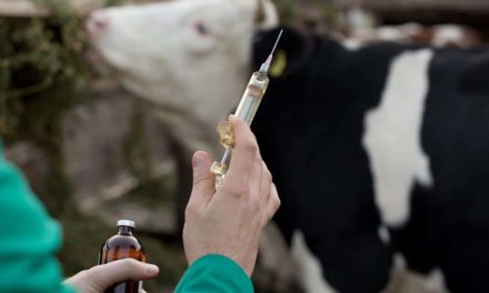 Biogénesis Bagó é eleita pela terceira vez a “Melhor Empresa de Saúde Animal da América Latina” pela Animal Pharm