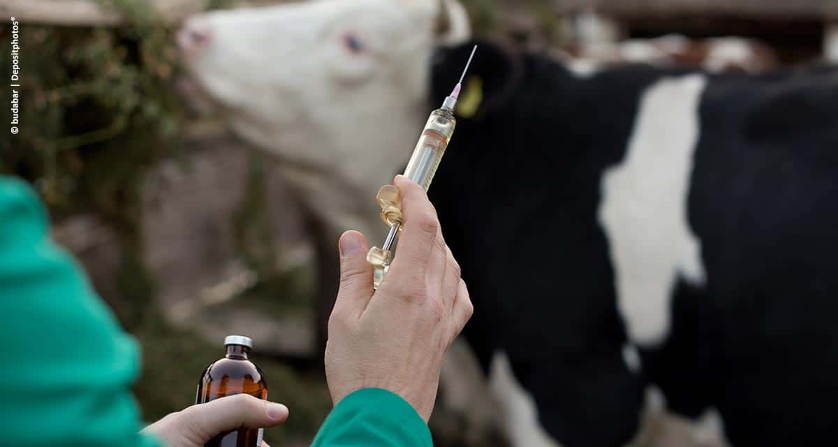 Biogénesis Bagó é eleita pela terceira vez a “Melhor Empresa de Saúde Animal da América Latina” pela Animal Pharm