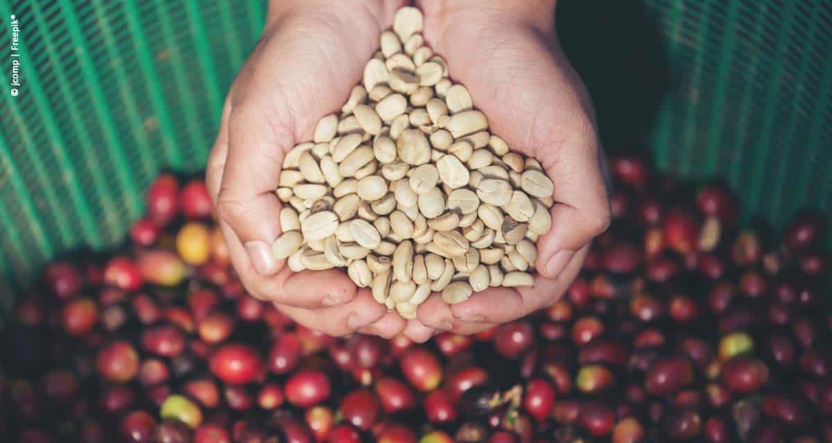 Em fevereiro, exportação de café bate novo recorde mensal em relação aos anos anteriores