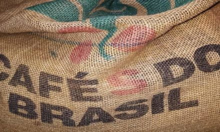 Café brasileiro precisa apostar na diferenciação para se destacar no mercado competitivo