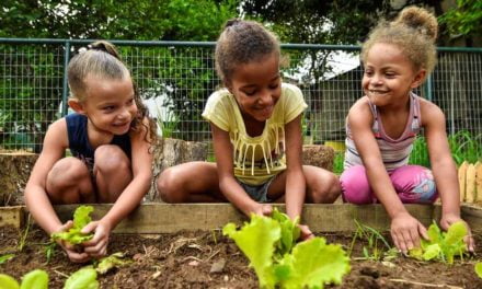 Horta coletiva será ambiente de aprendizagem em escola de Contagem