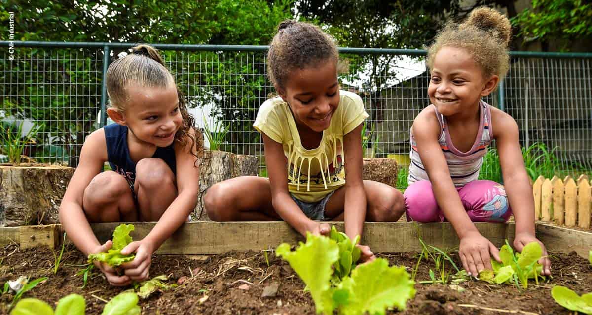 Horta coletiva será ambiente de aprendizagem em escola de Contagem