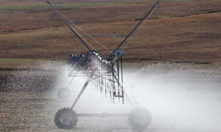 Aumenta a procura de produtores mineiros por pivôs de irrigação