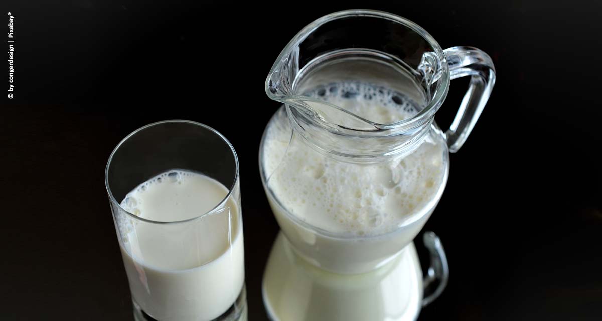 Gestão profissional das fazendas fará do Brasil uma potência mundial do leite