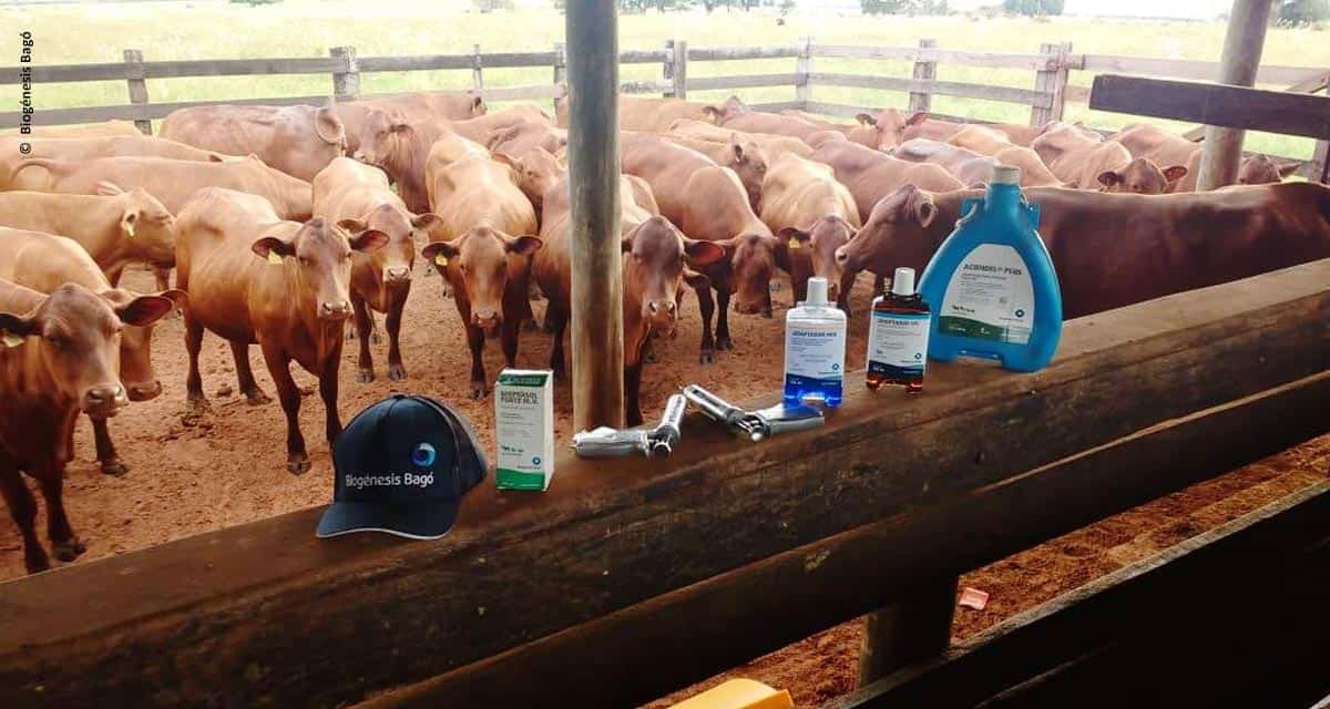 Biogénesis Bagó é o laboratório escolhido para ser o parceiro em saúde e reprodução de projeto de franquia Senepol