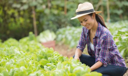 Horticultura é destaque na Agrishow 2019