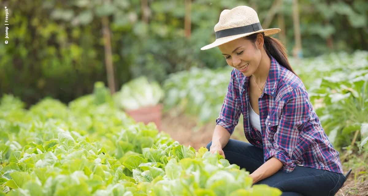 Horticultura é destaque na Agrishow 2019