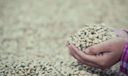 Brasil exporta 2,9 milhões de sacas de café em março