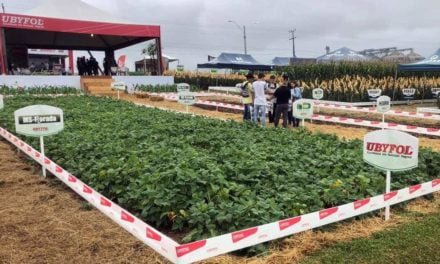 Ubyfol aposta em soluções para as culturas de grãos em Goiás