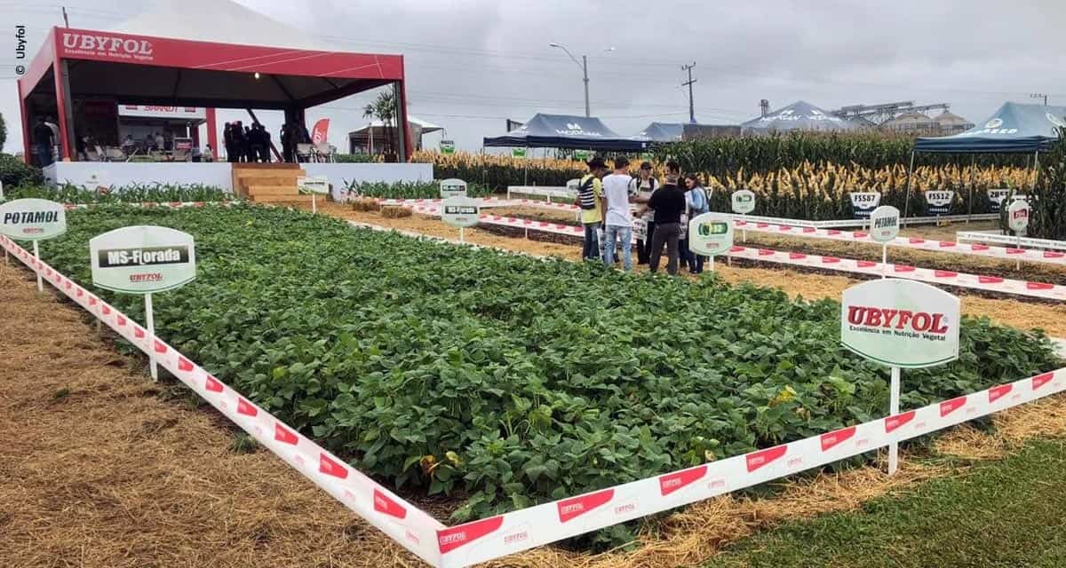 Ubyfol aposta em soluções para as culturas de grãos em Goiás