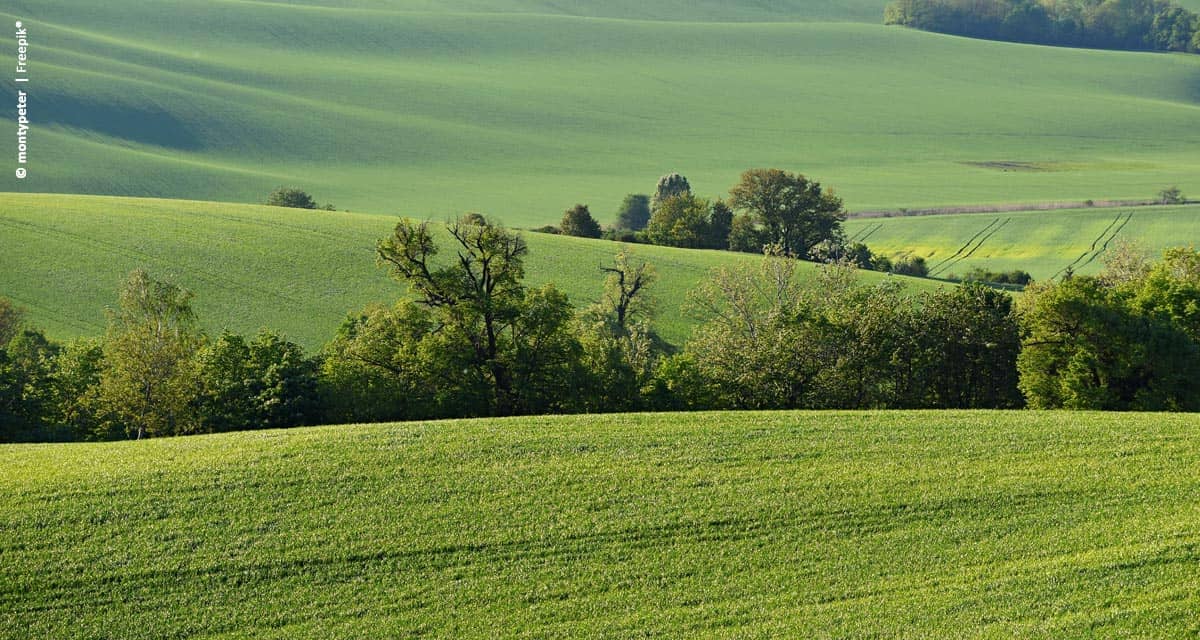 Debater a agricultura brasileira ajuda a transformar desafios e necessidades em oportunidades