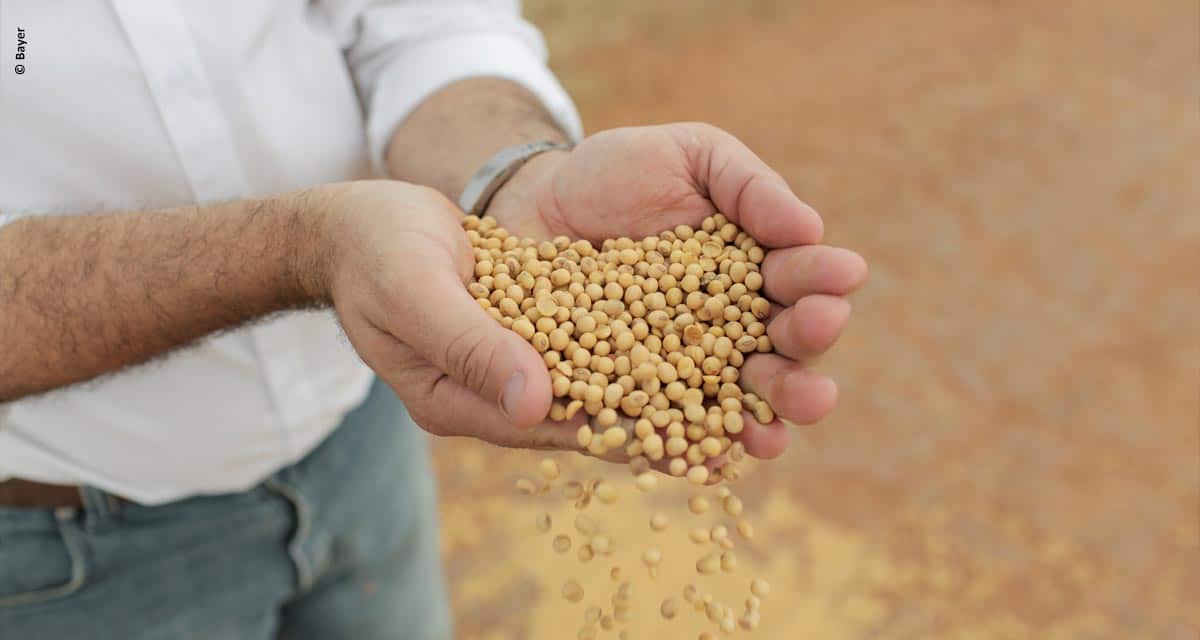 Maior produtor paranaense de soja conquista certificação internacional RTRS
