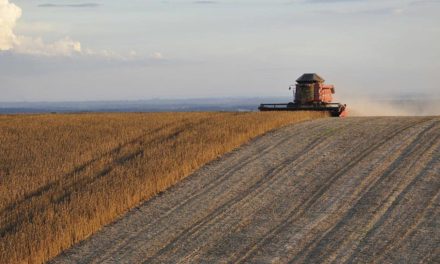 Novos valores para subvenção confirmam fortalecimento do seguro rural como instrumento de política agrícola no país