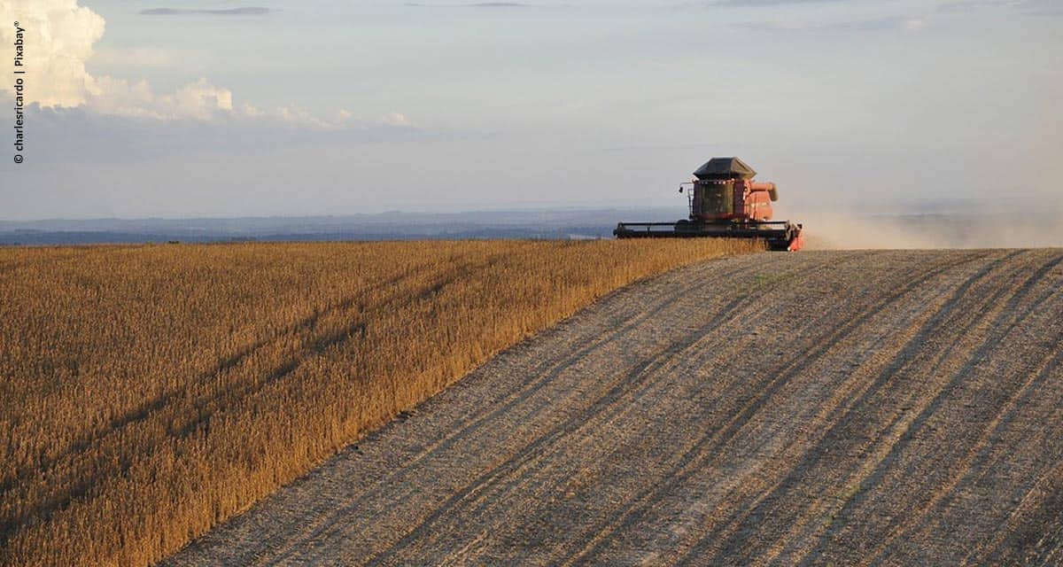 Novos valores para subvenção confirmam fortalecimento do seguro rural como instrumento de política agrícola no país