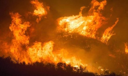 Bunge Açúcar & Bioenergia lança campanha de prevenção e combate a incêndios