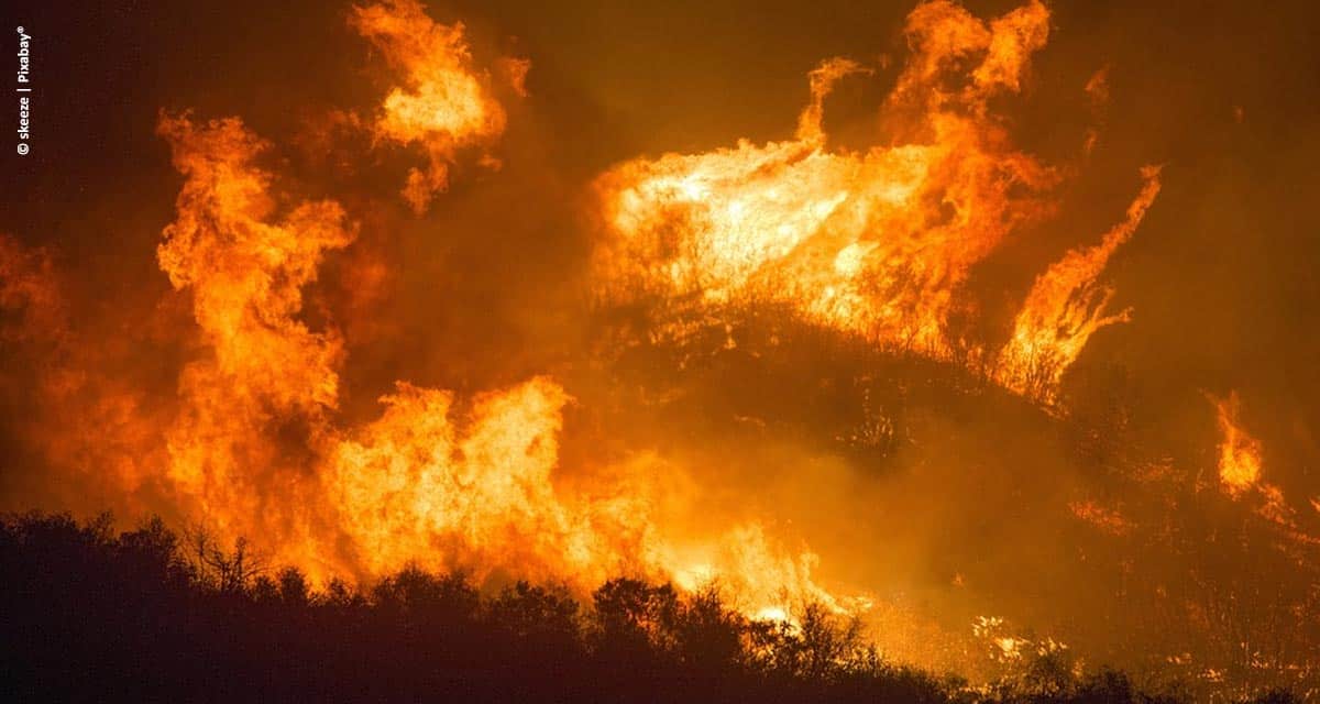 Bunge Açúcar & Bioenergia lança campanha de prevenção e combate a incêndios