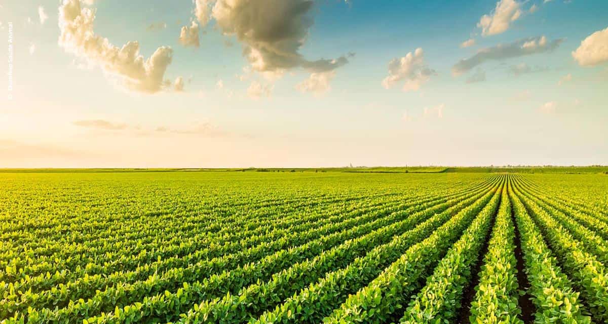 Setor de defensivos agrícolas incentiva mais de 300 mil  agricultores em 2018 às boas práticas agrícolas