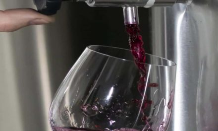 Vinícola Aurora e Bangalô lançam Gastrobar Pub com vinho encanado, o primeiro da Serra Gaúcha