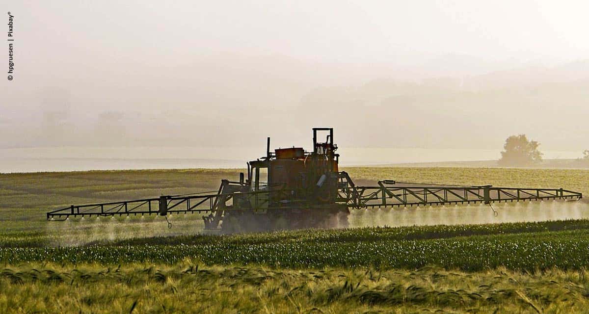 Europeus usam mais agroquímicos do que o Brasil, diz ONU.