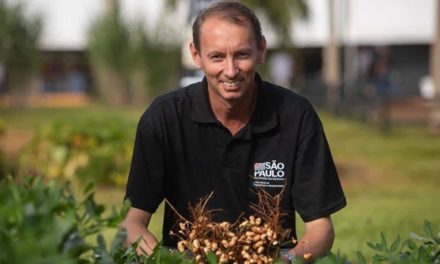 Secretaria de Agricultura e Abastecimento desenvolve pesquisas para amenizar preocupações dos produtores rurais