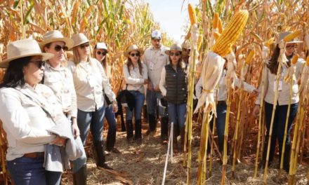 Dekalb reúne mulheres do agro para discutir os principais temas e desafios delas neste mercado