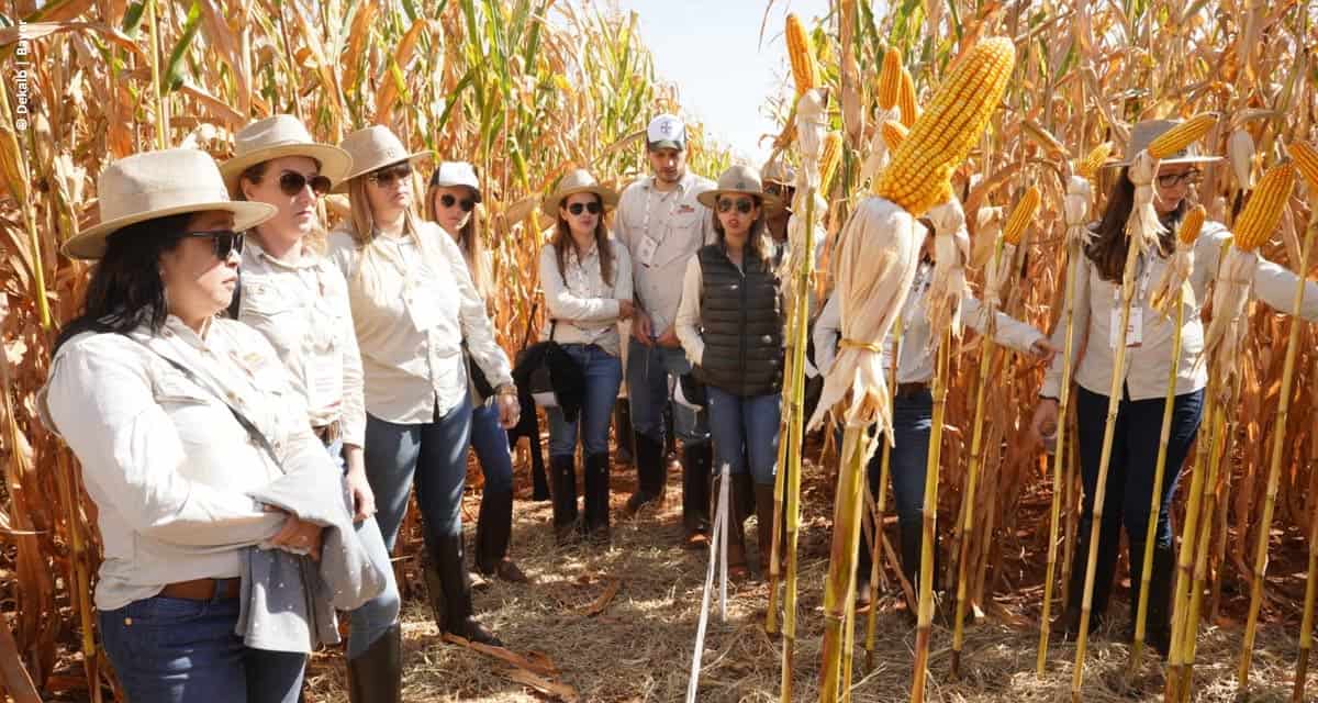 Dekalb reúne mulheres do agro para discutir os principais temas e desafios delas neste mercado